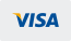 We accept Visa